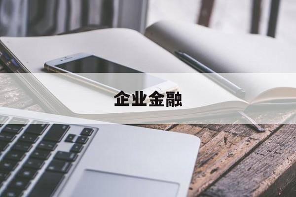 企业金融(企业金融是做什么的)